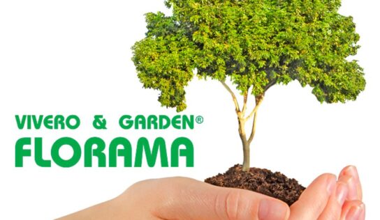 La importancia de la poda de árboles y el mantenimiento del jardín, por FLORAMA