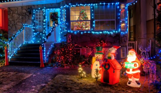 Rentokil Initial: ¿Pueden las luces de Navidad atraer a los insectos?