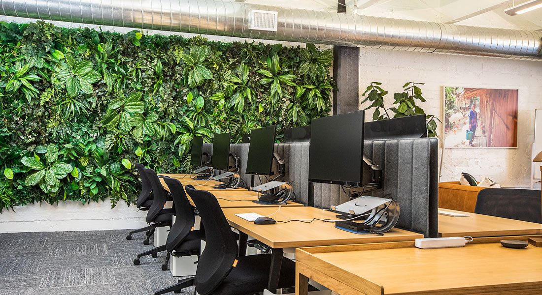 Jardines verticales en oficinas: bienestar y productividad