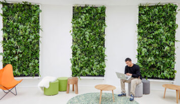 ¿Sabías que existen jardines verticales artificiales para oficinas, empresas y tiendas?