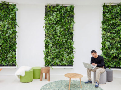 ¿Sabías que existen jardines verticales artificiales para oficinas, empresas y tiendas?