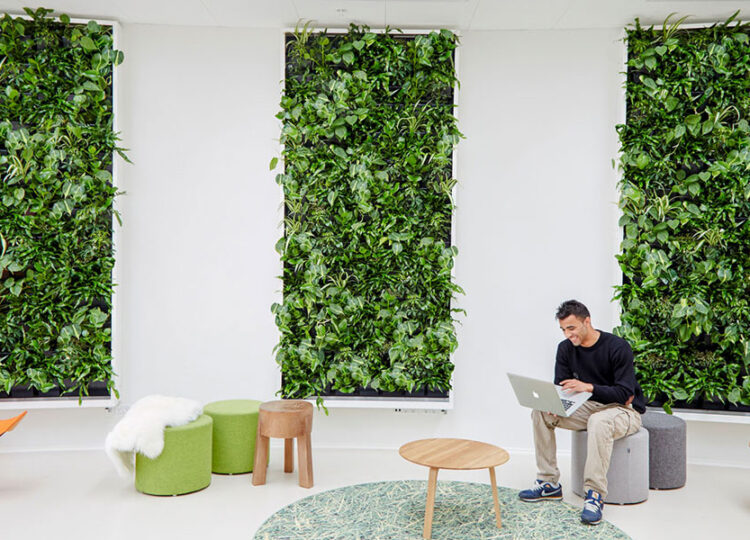 ¿Sabías que existen jardines verticales artificiales para oficinas, empresas y tiendas?