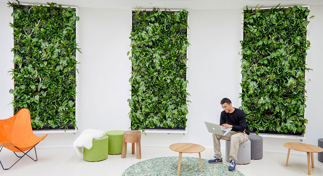 ¿Sabías que existen jardines verticales artificiales para oficinas, empresas y tiendas?