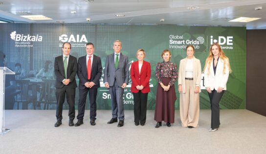 Smart Grids Academy lanza 4 itinerarios formativos en redes eléctricas inteligentes desarrollados y testados por empresas del sector