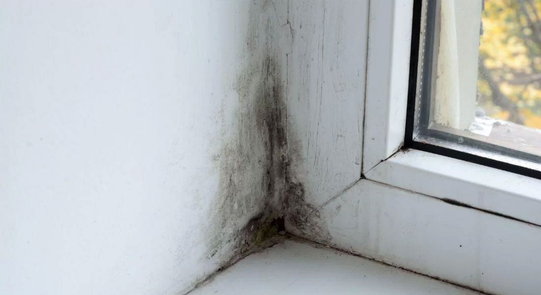 Humedad por capilaridad