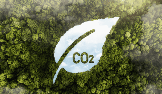 Nueva obligación para grandes empresas: el cálculo de la huella de carbono