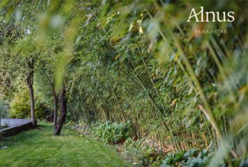 Alnus Paisajistas consolida su trayectoria como estudio de paisajismo sostenible en Madrid