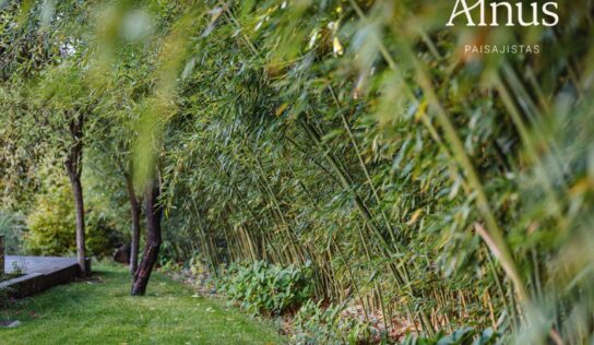 Alnus Paisajistas consolida su trayectoria como estudio de paisajismo sostenible en Madrid