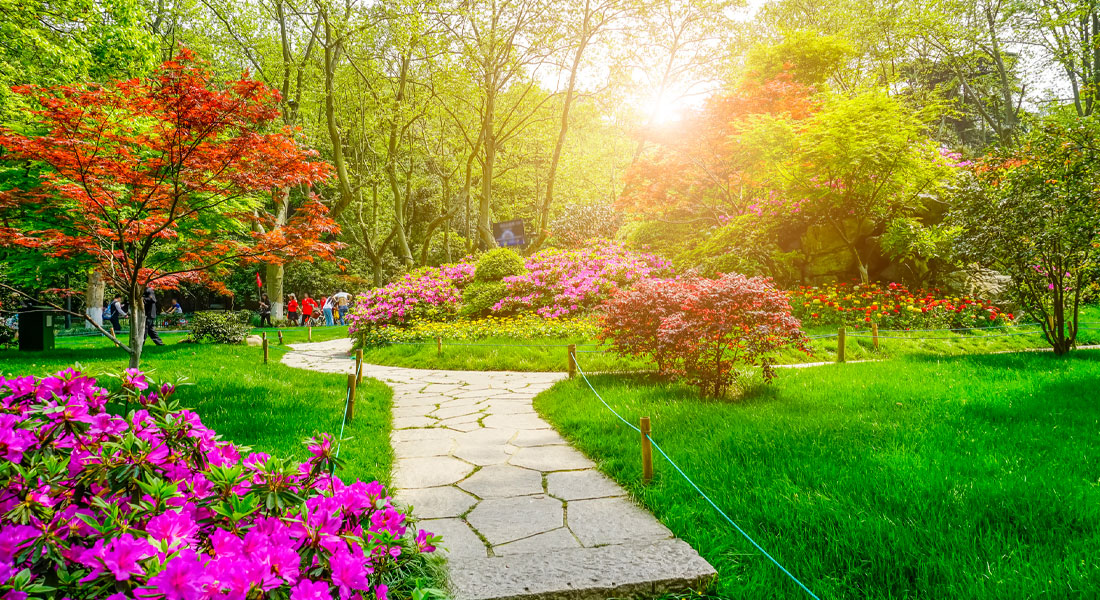 Errores comunes en el diseño de jardines y cómo evitarlos Errores comunes en el diseño de jardines y cómo evitarlos