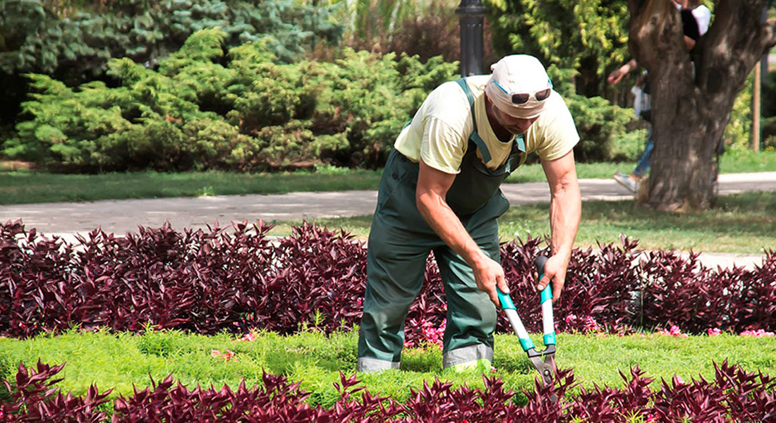 Importancia estratégica de los espacios verdes bien cuidados Importancia estratégica de los espacios verdes bien cuidados