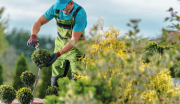 Preguntas frecuentes sobre el diseño de jardines: expertos responden