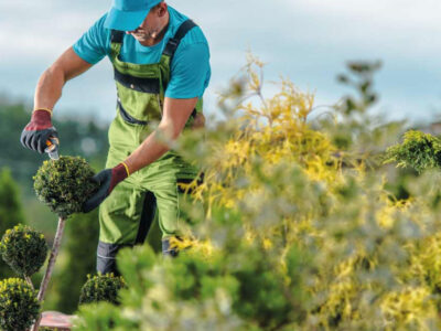 Preguntas frecuentes sobre el diseño de jardines: expertos responden