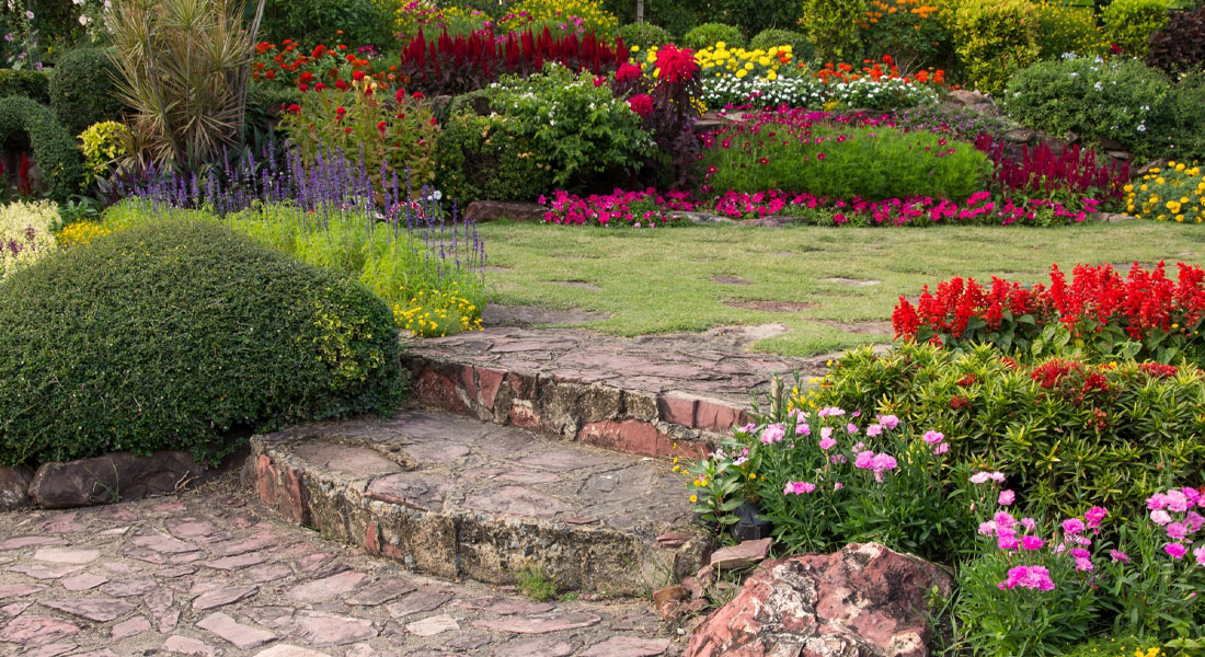 ¿Qué errores son más comunes en el diseño de jardines? ¿Qué errores son más comunes en el diseño de jardines?