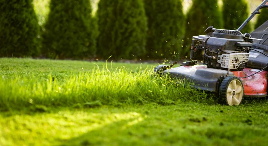 Reducción de incidencias y mantenimiento preventivo Reducción de incidencias y mantenimiento preventivo