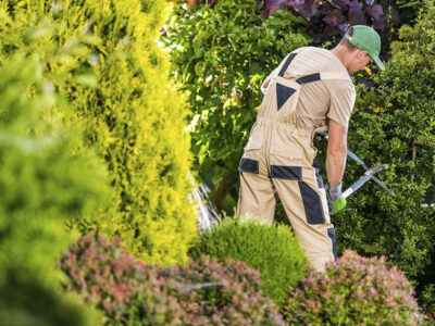 Ventajas del mantenimiento de jardines en propiedades residenciales y comerciales