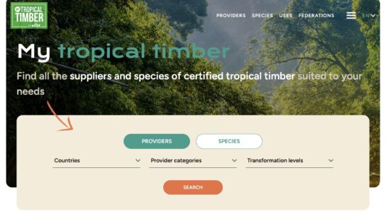 My Tropical Timber, plataforma de ATIBT para profesionales de madera tropical, logra un inicio prometedor